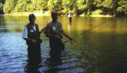 Photo 97-3